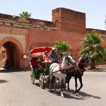 Full Day Marrakech City Tour !