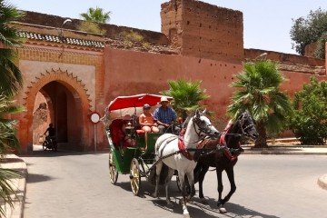 Marrakech Gardens Tour by Horse Drawn Carriage