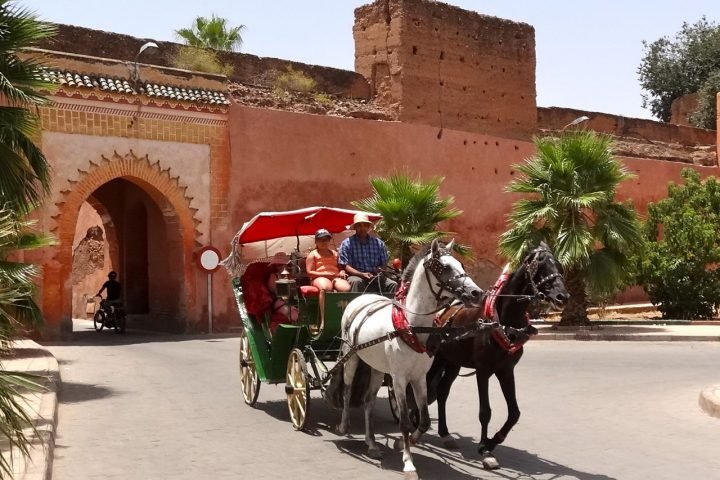 Gardens and Remparts Tour by Horse Drawn Carriage-Marrakech Gardens by Horse Drawn Carriage Tour
