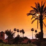 Full Day Marrakech City Tour !