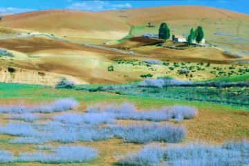 Middle Atlas Mountains Tour from Fez !