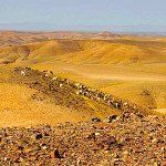Explore Agafay Desert Day Trip from Marrakech