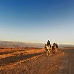 Explore Agafay Desert Day Trip from Marrakech