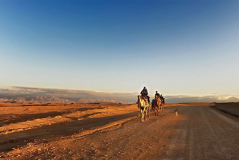 Explore Agafay Desert Day Trip from Marrakech