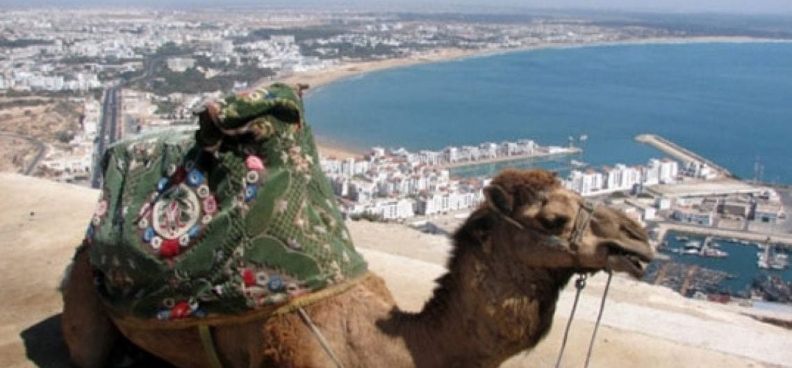 Agadir Shore Excursion