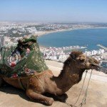 Agadir Shore Excursion from Agadir Port