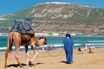 Half Day Agadir City Tour !