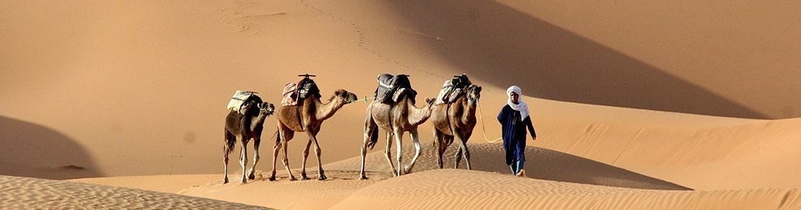 Tailor Made Morocco Vacation